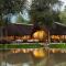 Onguma Forest Camp