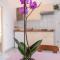 Cozy Apartment Mendula Medulin