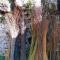 LOseraie du Quercy