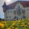 Castle Csányi - Livezeni