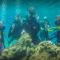 Tortuga Dafni Bay Villas Divers Paradise by "elite"