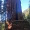 Sweet getaway in private Giant Sequoia Grove! - Springville