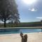 Best view, pool and spa on the Champagne vineyard