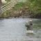 Tornacraig 8 Person Country House on Royal Deeside