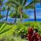YOUR HAWAIIAN TROPICAL GARDEN VIEW STUDIO - KONA ISLANDER INN CONDOS condo