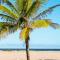 Ocean Beach Resort & Spa ASTON Collection Hotels - Malindi