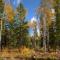 Black Diamond Lodge