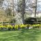 Ty Derw Country House B&B
