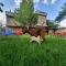 Sehrish Guest House Skardu - Skardu
