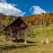 Holiday house Pokrovec - Bohinj - Bohinj