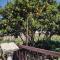 Apartamento en San Vicente de O Grove