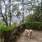 Whistling Thrush Cottage, Bhimtal (2bhk) - Nainital