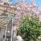 Apartman Mirna