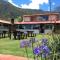 Palmas de Cocora