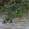 Andros Eco Home