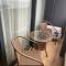 Luxury Apartment in Orbi city