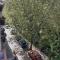 Apartamentos Pinos Genil