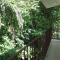 Casa Palmera Cocles, 300m to the beach