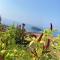 Luxury Villa Cirella happy island