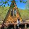 Dumbo Eco Camp