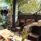 Bagus Homestay