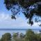 Lorne Surf Apartments