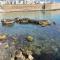Nenetta Rooms & Suites Monopoli