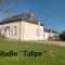 studio ''tulipe'' dans le Berry