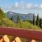 Finca Olivar
