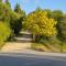 Finca Olivar
