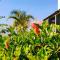 Villa Fedelian avec jardin et piscine chauffée