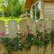 Dryw bach glamping hut - Llandeilo