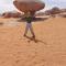 bedouin future camp