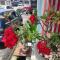 Cintra House