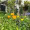 Apple Tree Cottage - charming home at beautiful canal in our idyllic garden