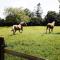 The Pole Barn - Stunning, High Spec Barn Conversion - Chew Stoke