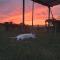 Agriturismo Enjoy Sunset Agriturismo Enjoy Sunset