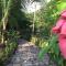 3 Architectural Homes, Wi-fi and Pool - Lagunillas