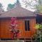 1 Bed Room Villa for Rent in Sayan, Ubud - Ubud