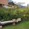 Cottages - Chalets Mag. Scholz