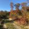 In de tuin in Gees - Gees