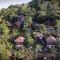 Tree House Bungalows Koh Tao