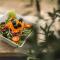 Ponte Porton Dining & lodging