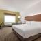 Holiday Inn Express & Suites - Punta Gorda by IHG - 蓬塔戈尔达