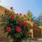 House of Roses