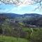 Ferienwohnung Schwarzwaldblick - Bühlertal