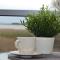 Apartament Justynka