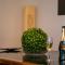 Akratas Elegant Luxury Suite