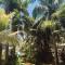 Alquiler casa en la playa, Tolu