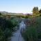 DDOG Vineyard & BnB